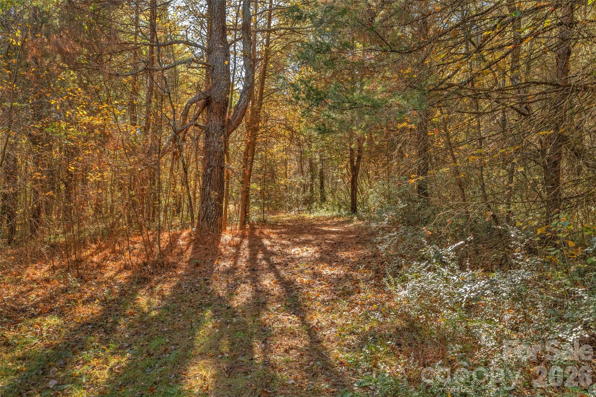 0000 Bud Davis Road Vale NC 28168