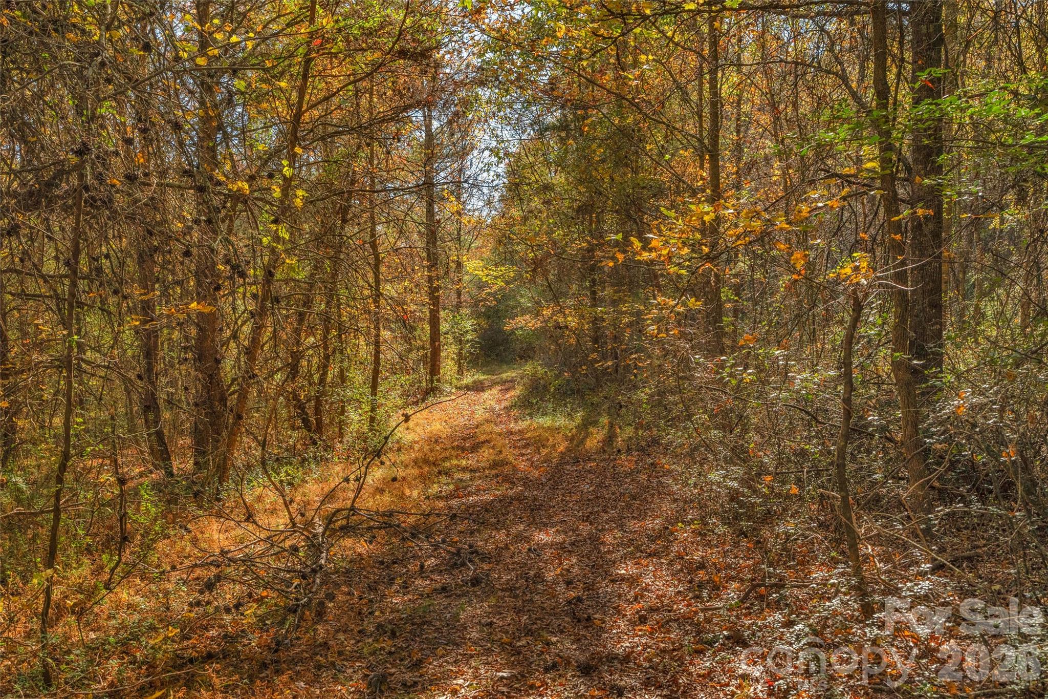 0000 Bud Davis Road Vale NC 28168