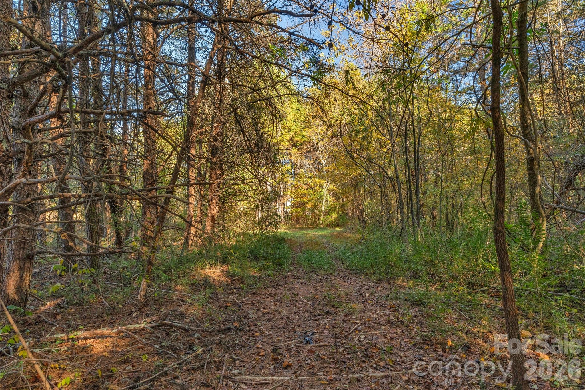 0000 Bud Davis Road Vale NC 28168