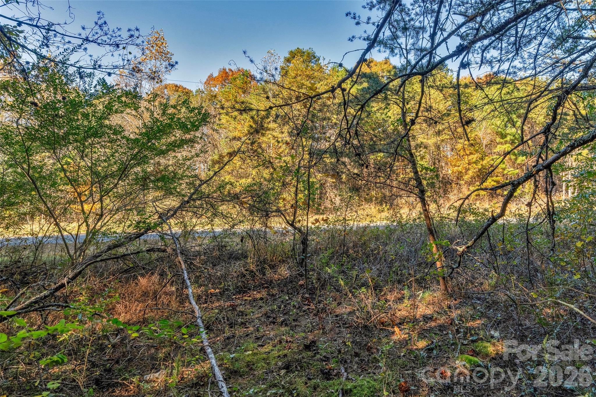 0000 Bud Davis Road Vale NC 28168