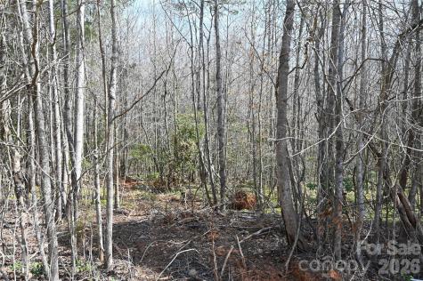 000 E Bells Branch Road Blacksburg SC 29702