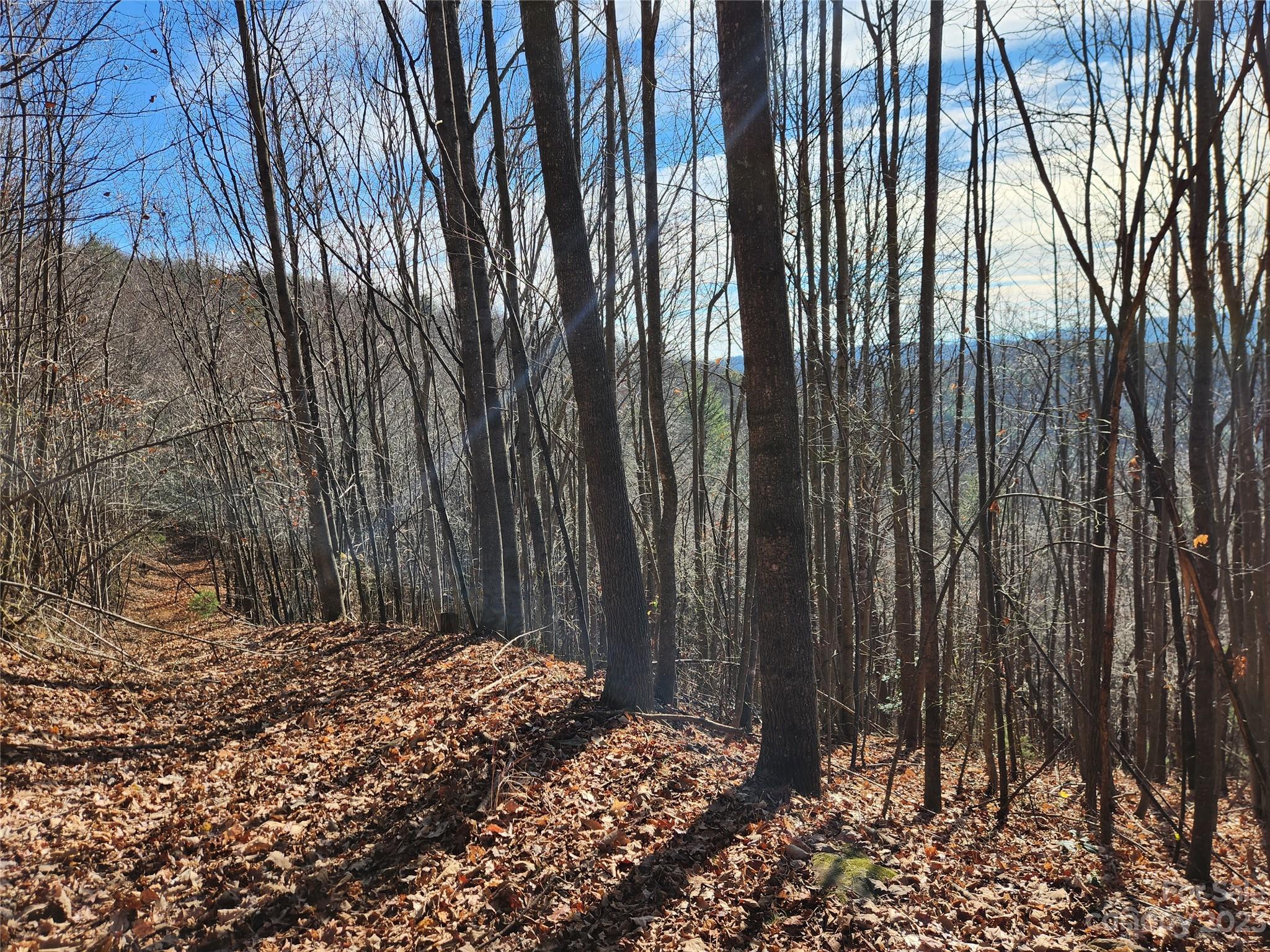 6900 Mertie Road Millers Creek NC 28651