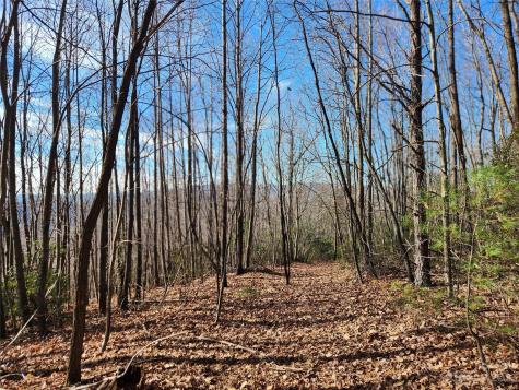 6900 Mertie Road Millers Creek NC 28651