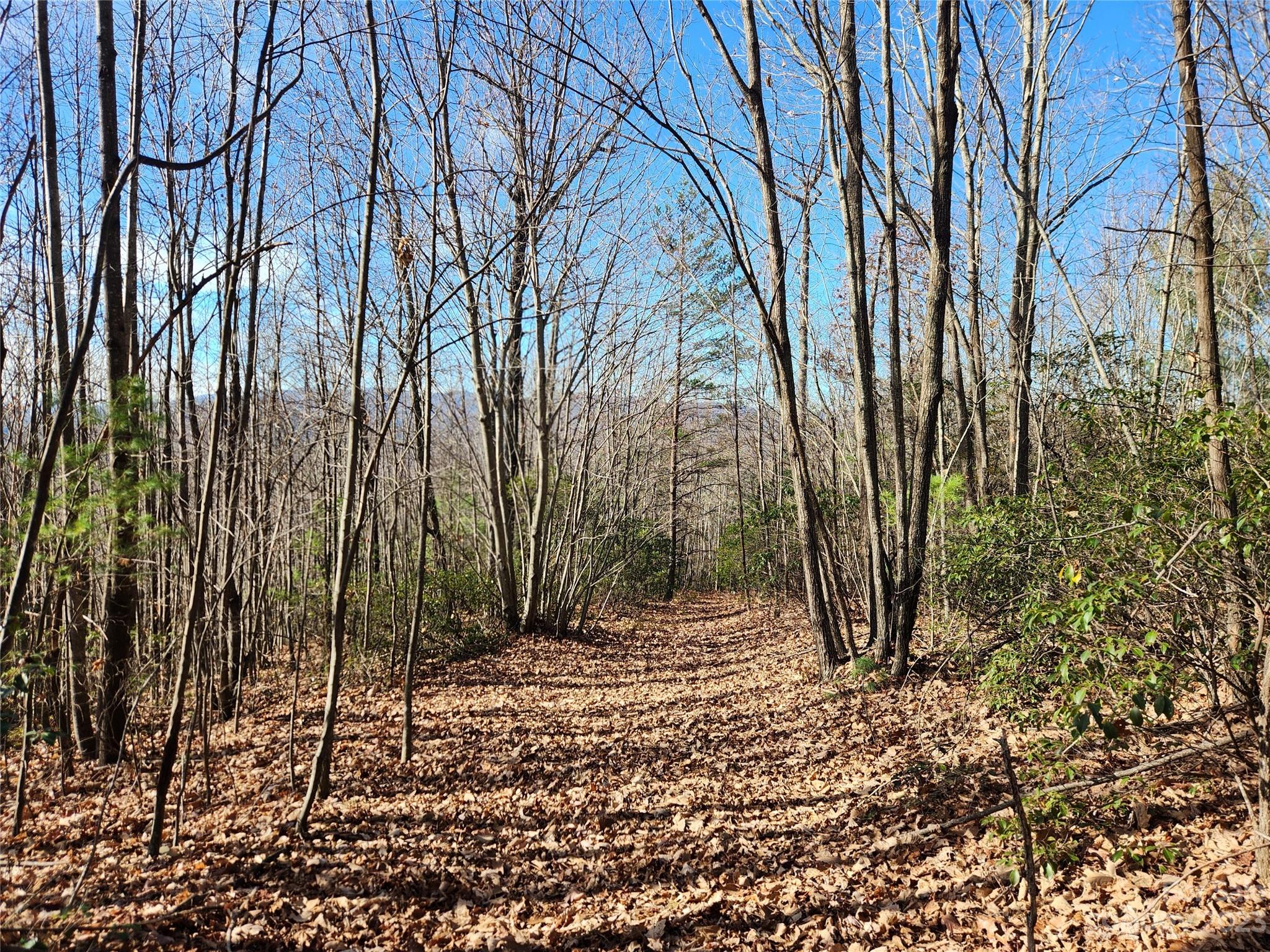 6900 Mertie Road Millers Creek NC 28651