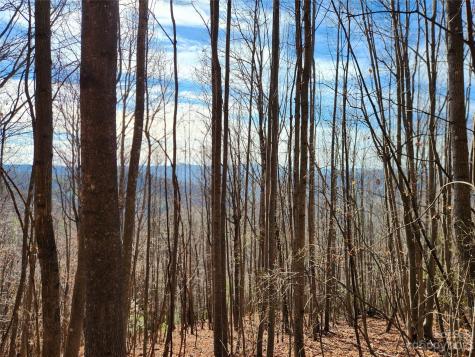6900 Mertie Road Millers Creek NC 28651