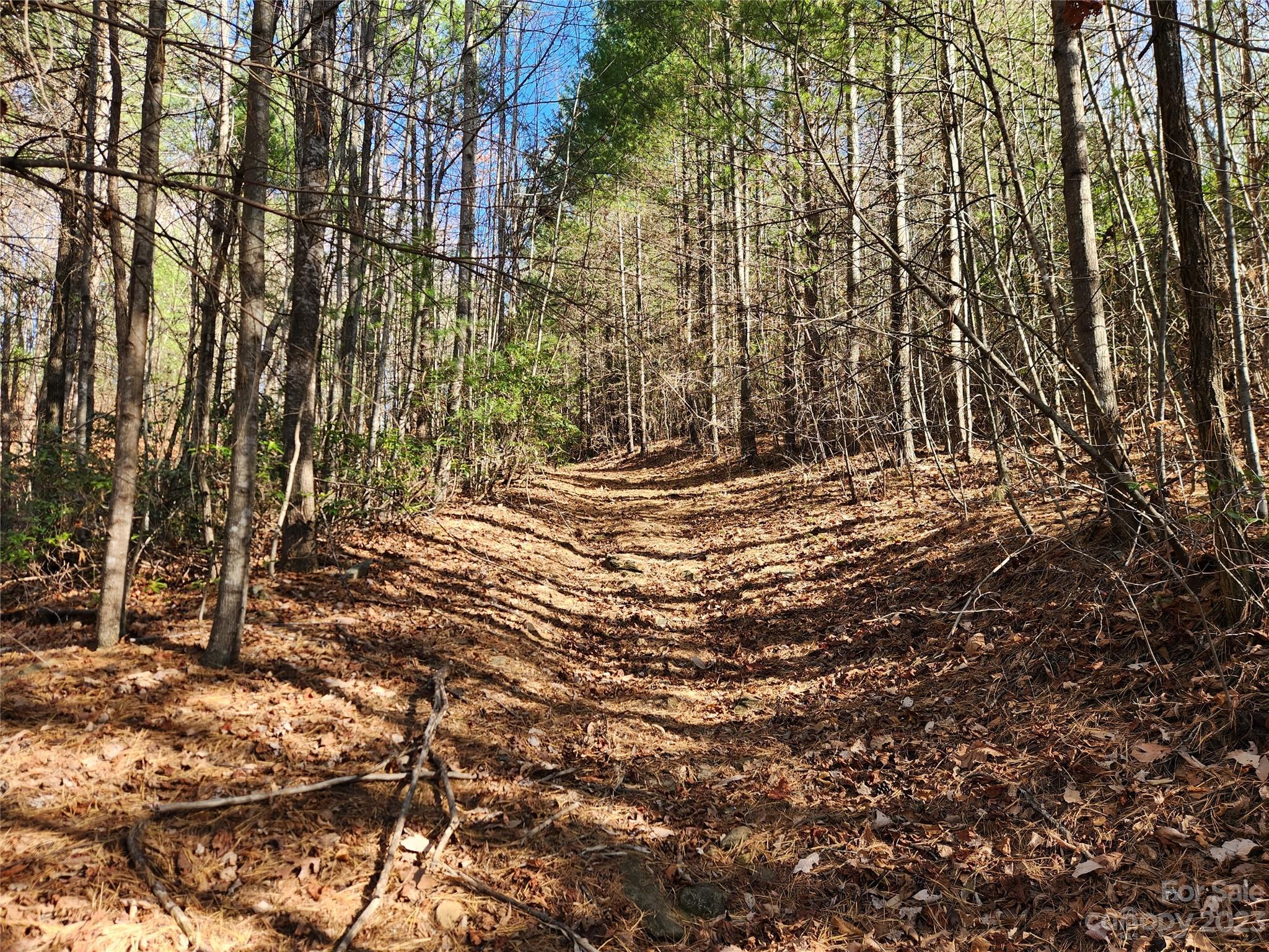 6900 Mertie Road Millers Creek NC 28651