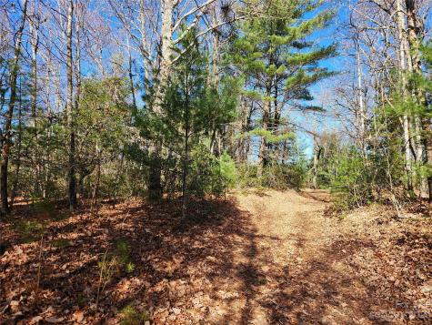 6900 Mertie Road Millers Creek NC 28651