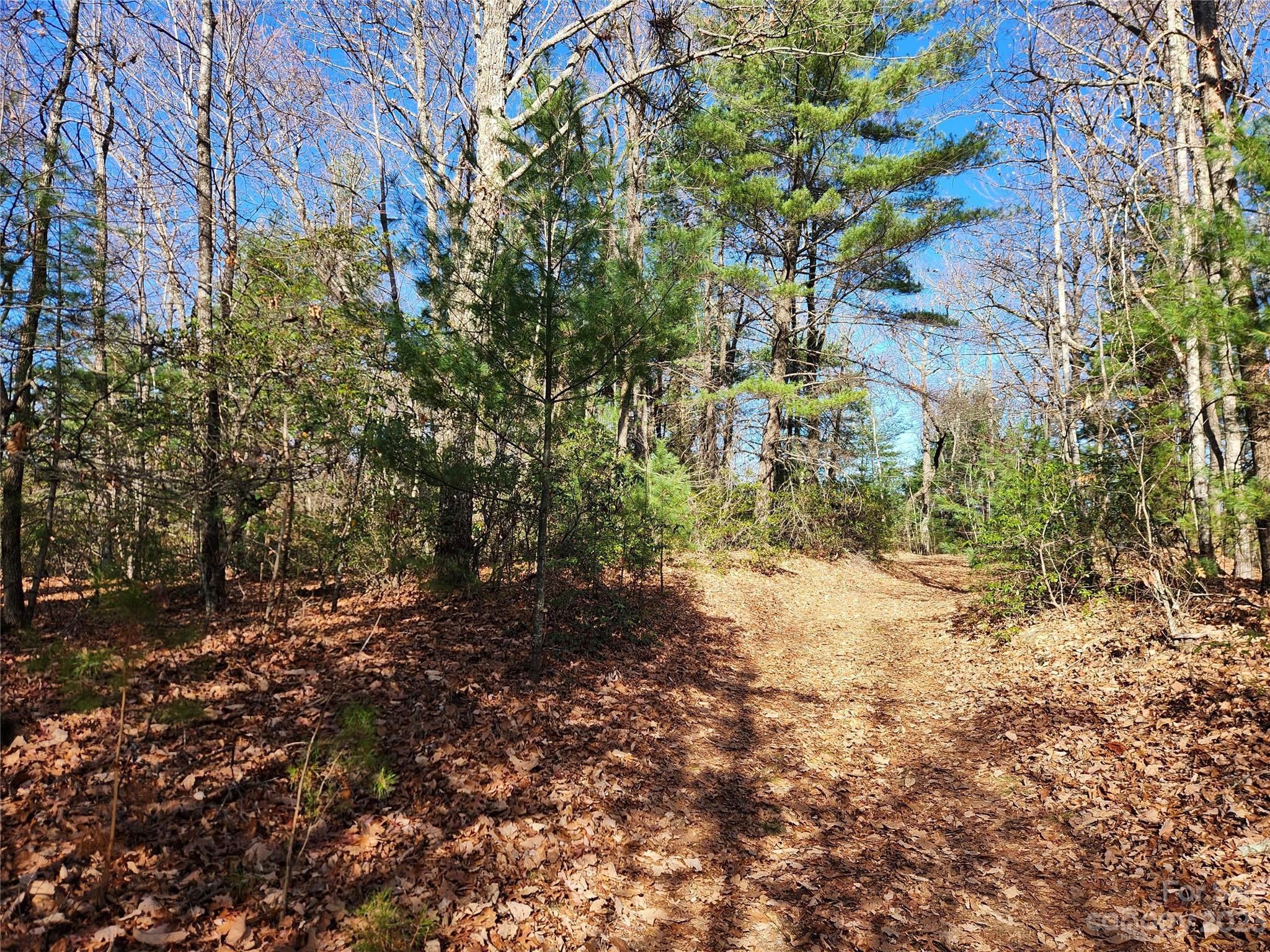 6900 Mertie Road Millers Creek NC 28651