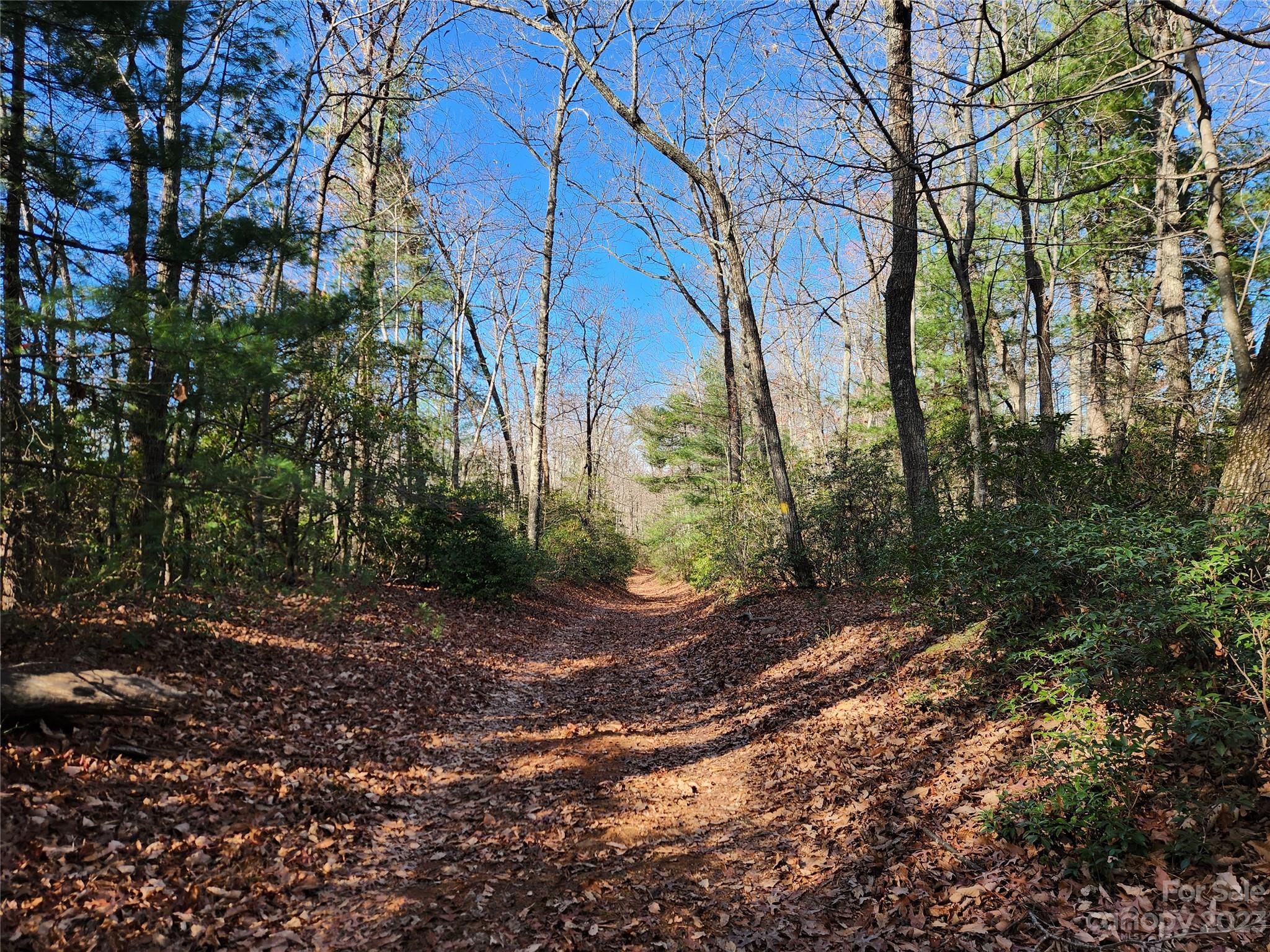 6900 Mertie Road Millers Creek NC 28651
