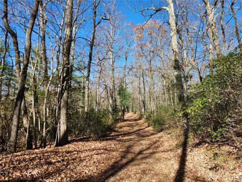 6900 Mertie Road Millers Creek NC 28651