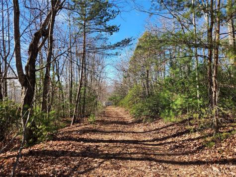 6900 Mertie Road Millers Creek NC 28651