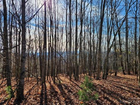 6900 Mertie Road Millers Creek NC 28651