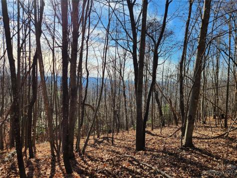 6900 Mertie Road Millers Creek NC 28651