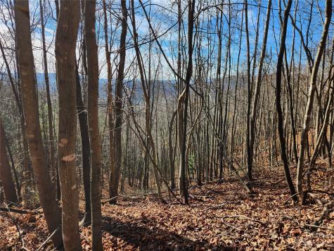 6900 Mertie Road Millers Creek NC 28651