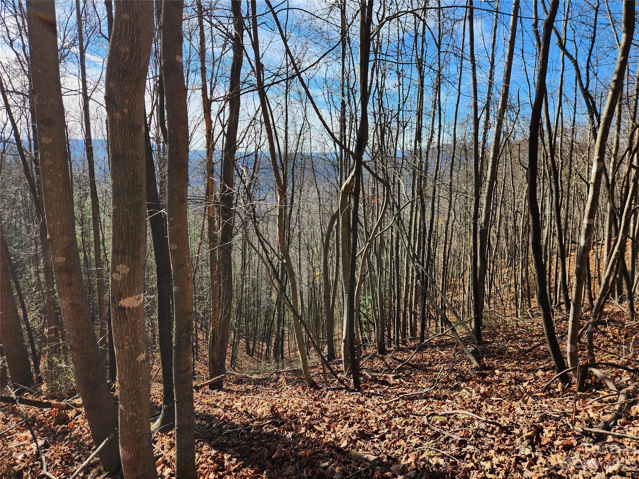 6900 Mertie Road Millers Creek NC 28651