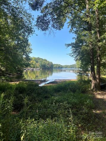 335 Catawba Avenue Davidson NC 28036