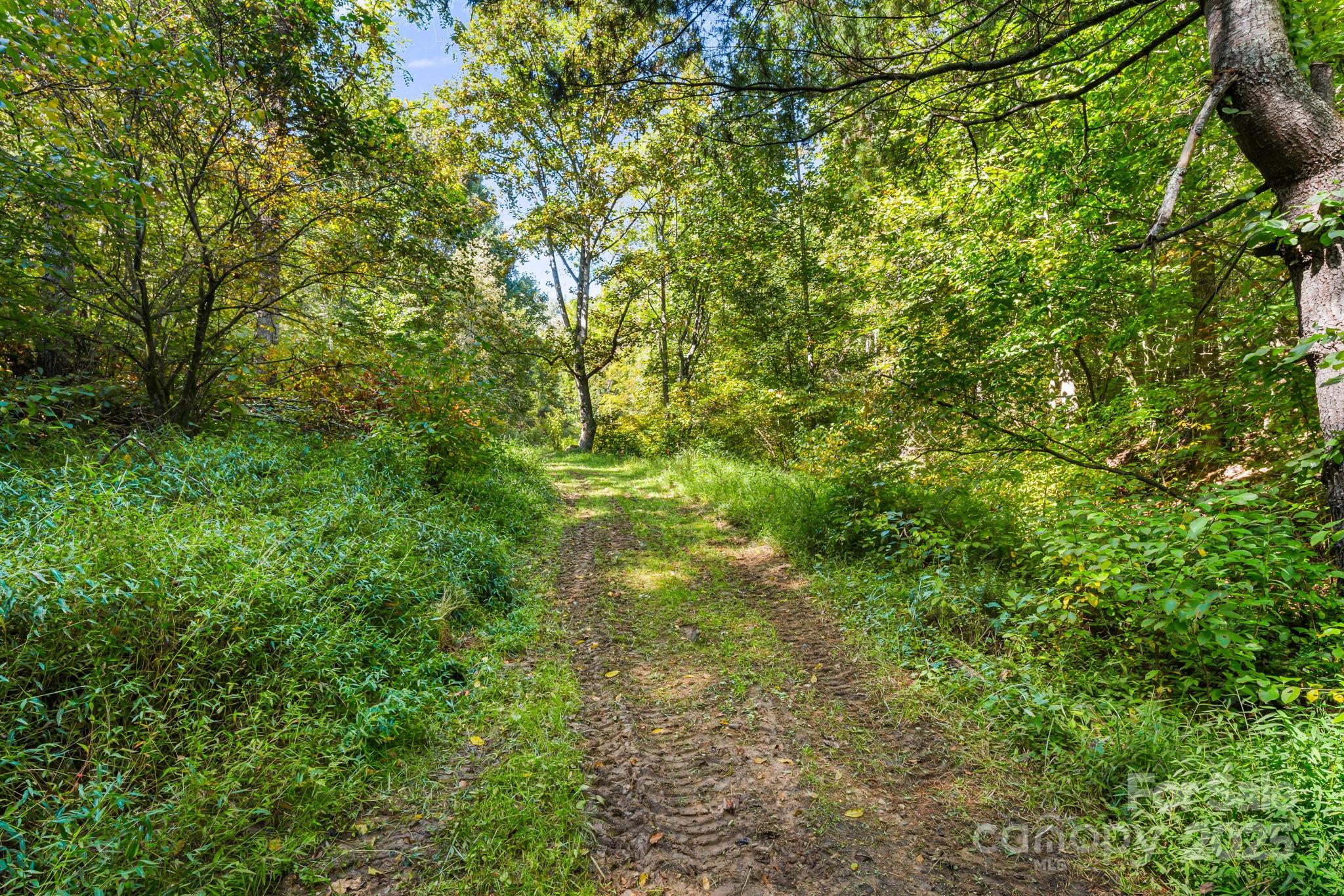 456 & 000 Maney Branch Road Burnsville NC 28714