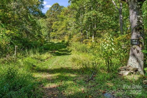 456 & 000 Maney Branch Road Burnsville NC 28714