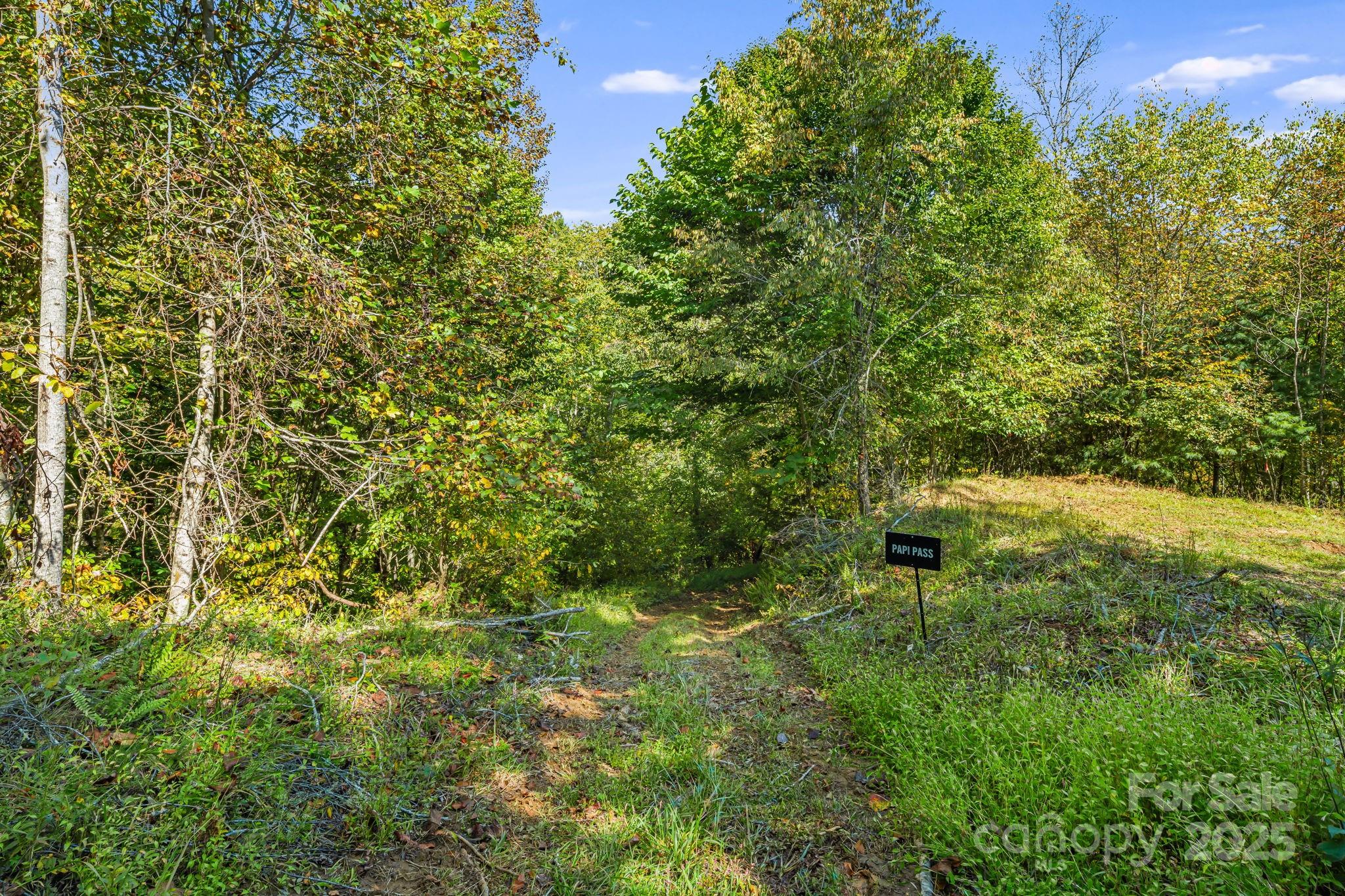 456 & 000 Maney Branch Road Burnsville NC 28714