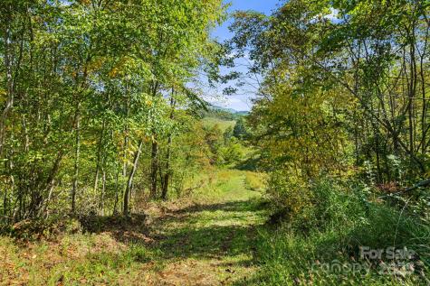 456 & 000 Maney Branch Road Burnsville NC 28714