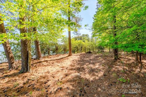 2467 Camelia Pointe Drive Sherrills Ford NC 28673