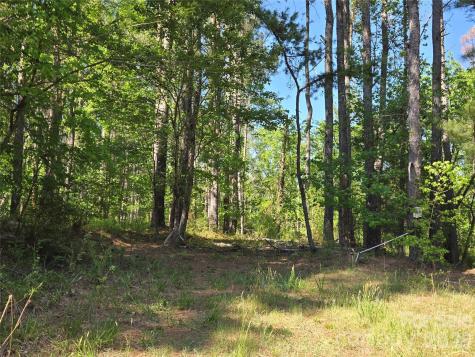 0 Blaine Road Badin Lake NC 27371
