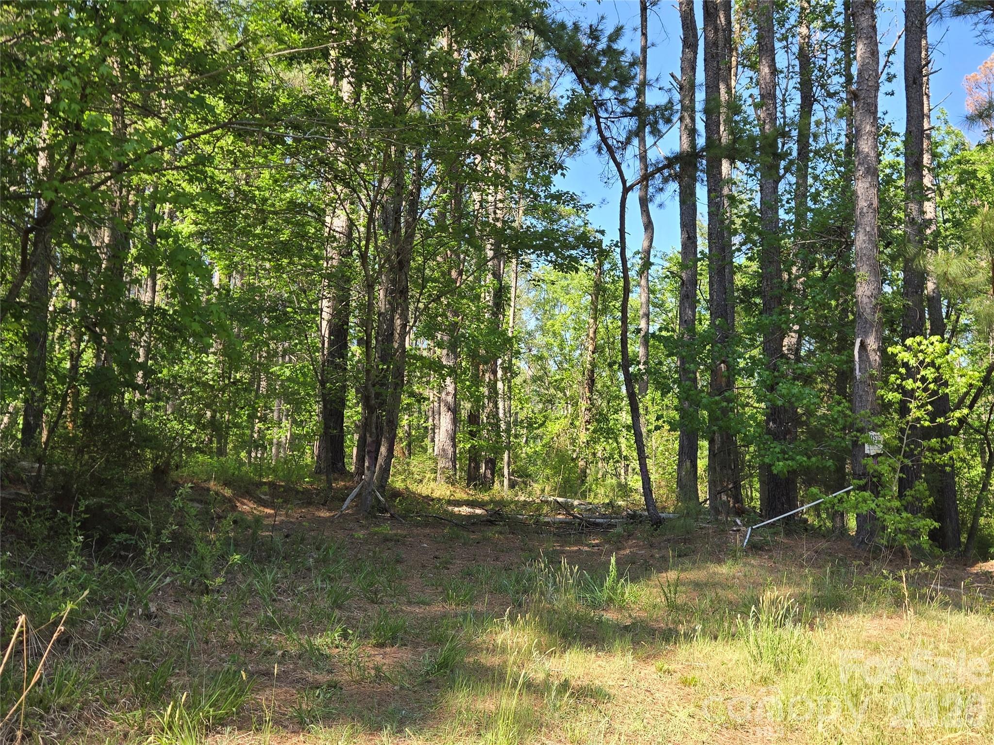 0 Blaine Road Badin Lake NC 27371