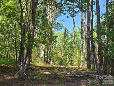 0 Blaine Road Badin Lake NC 27371