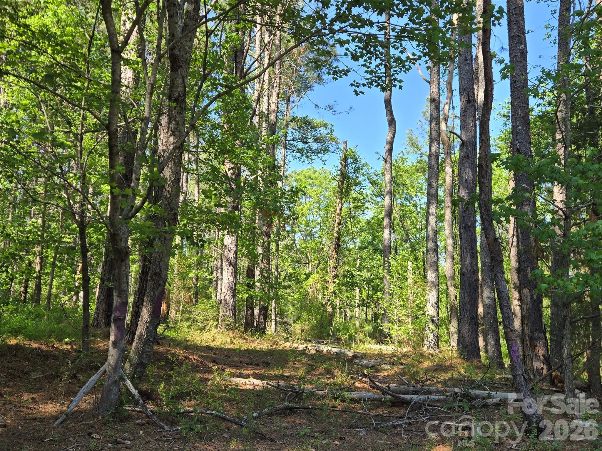 0 Blaine Road Badin Lake NC 27371