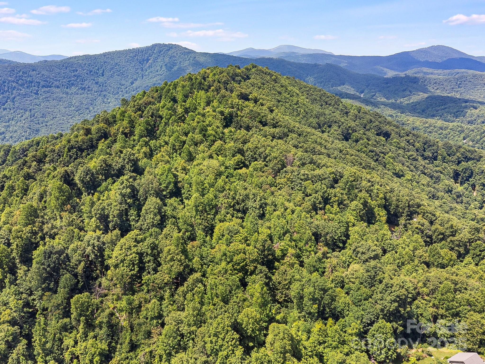 2523 Creston Drive Black Mountain NC 28711