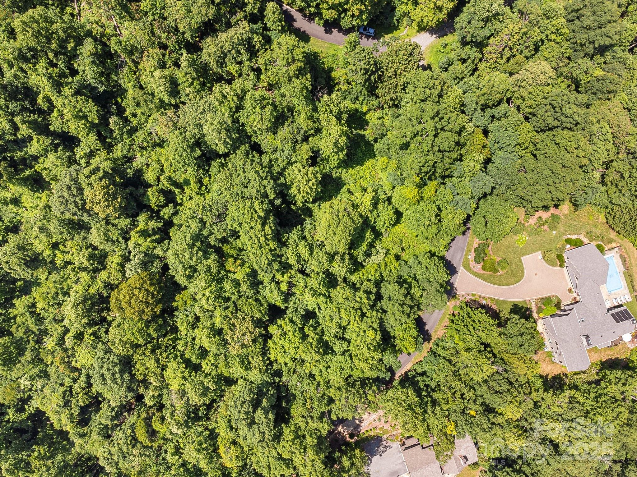 2523 Creston Drive Black Mountain NC 28711