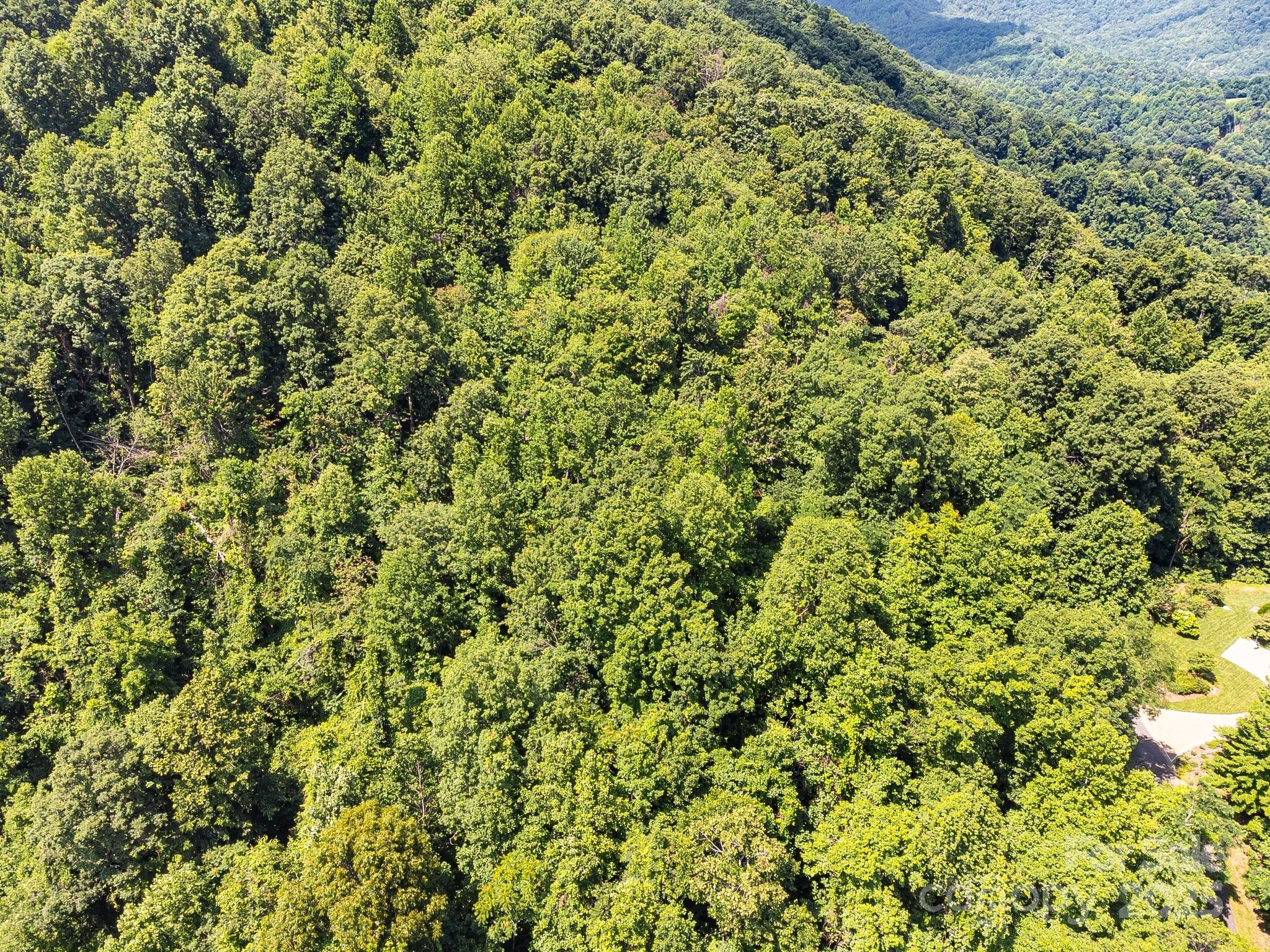 2523 Creston Drive Black Mountain NC 28711