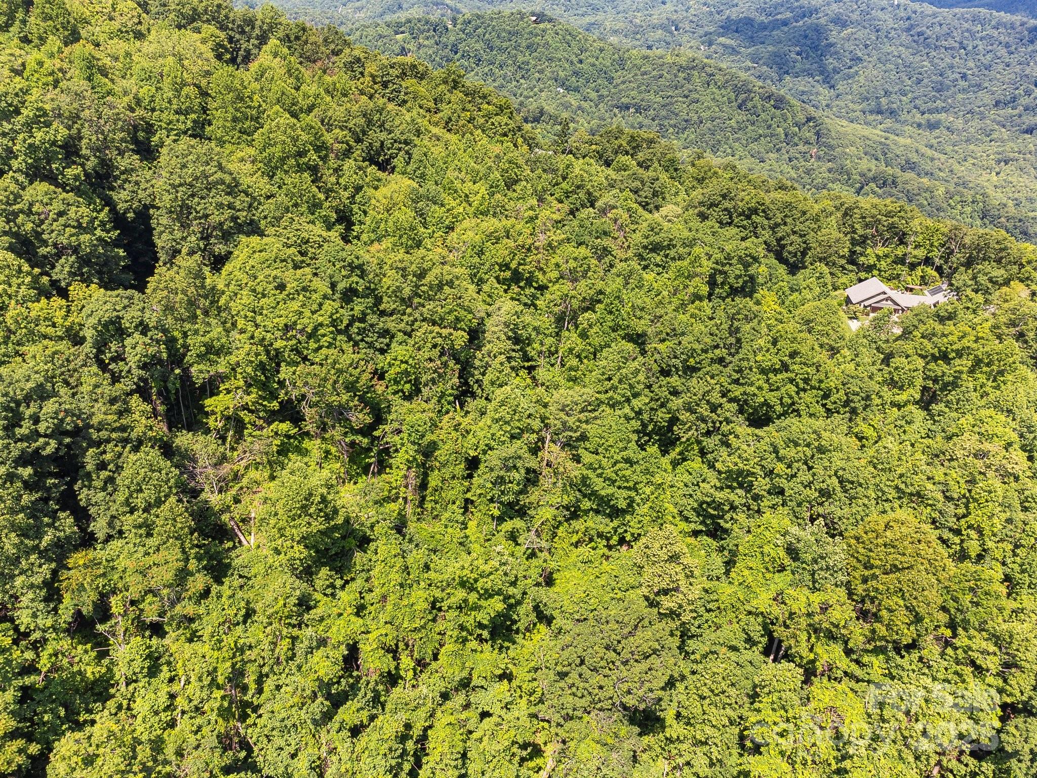 2523 Creston Drive Black Mountain NC 28711