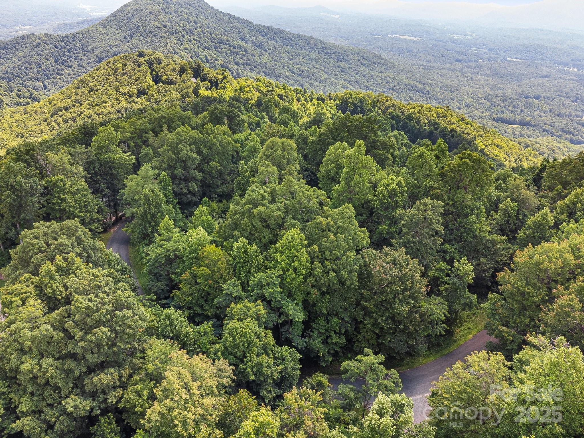 2523 Creston Drive Black Mountain NC 28711