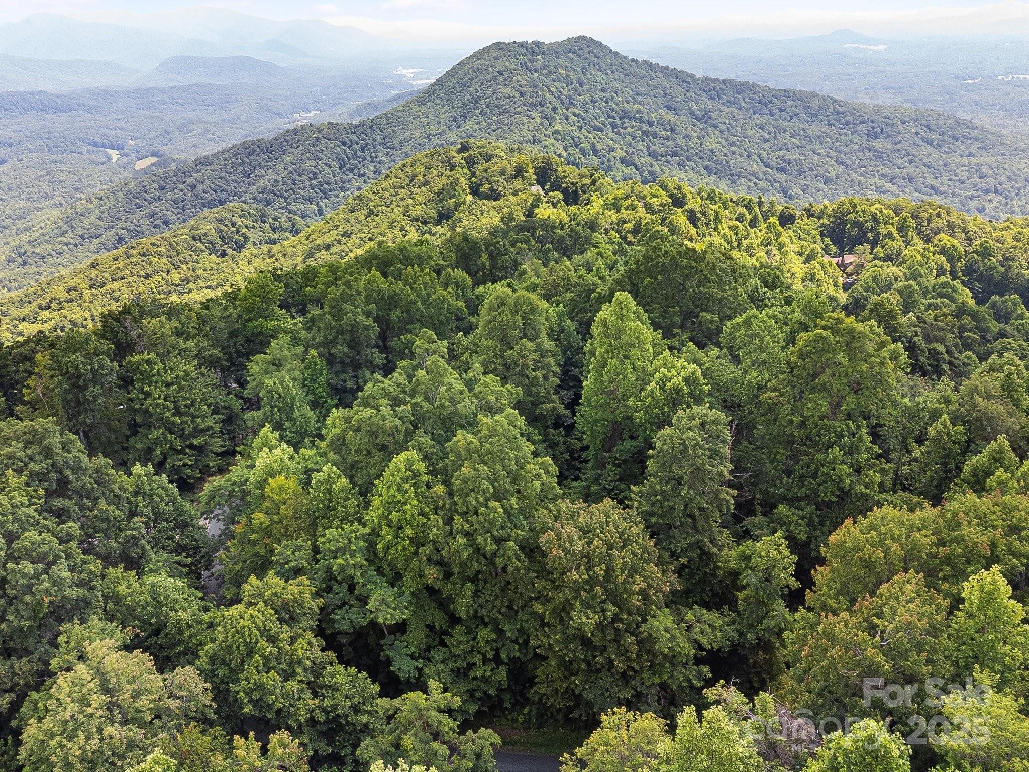 2523 Creston Drive Black Mountain NC 28711