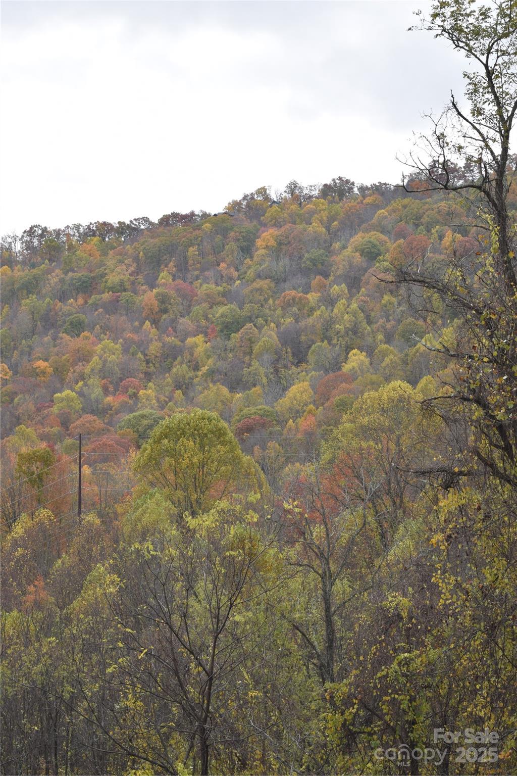107 Escalante Road Waynesville NC 28785