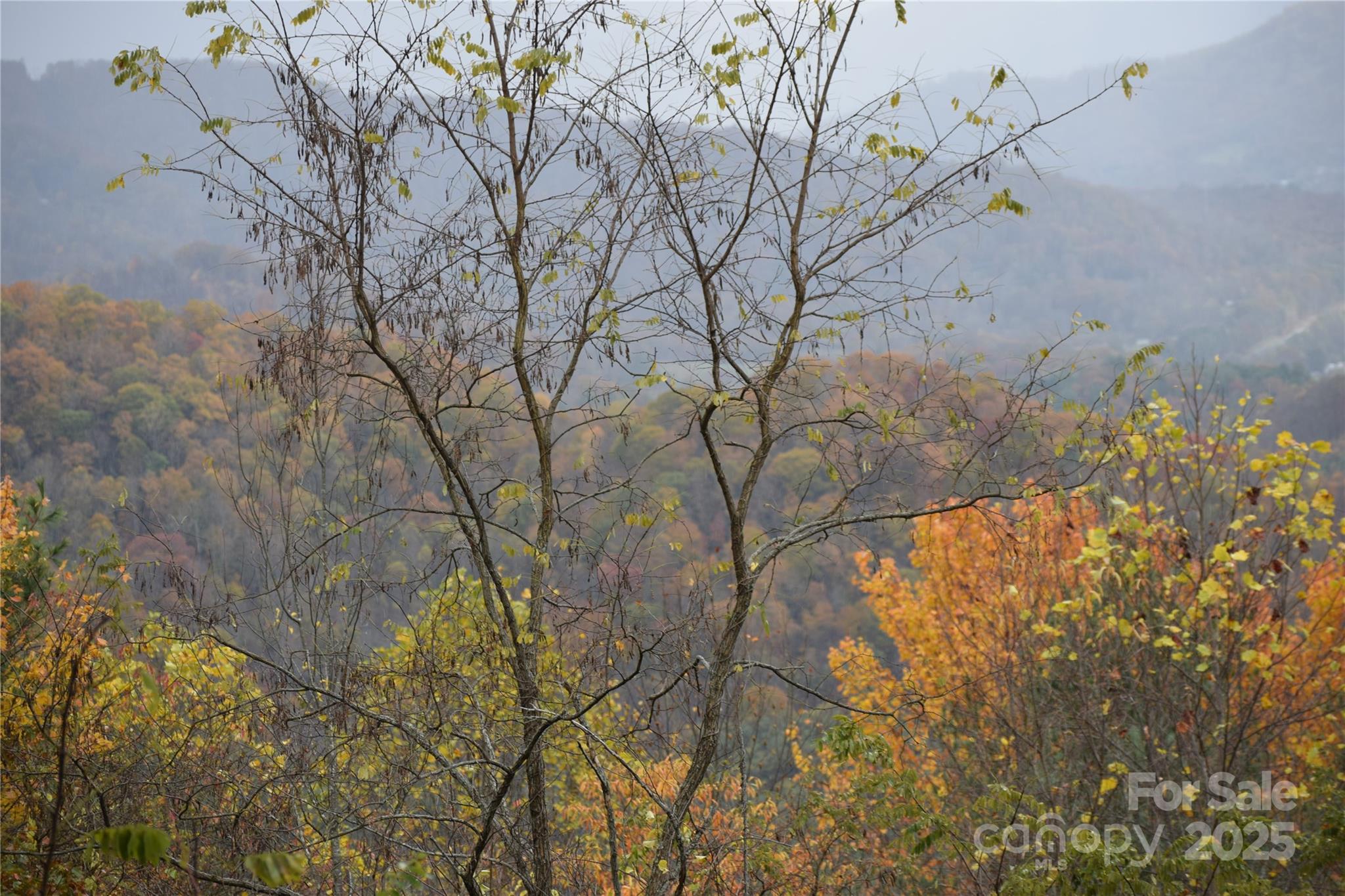 107 Escalante Road Waynesville NC 28785
