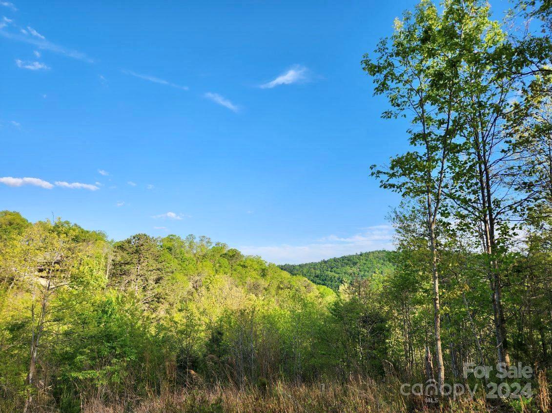 391 Red Fox Trail Marshall NC 28753