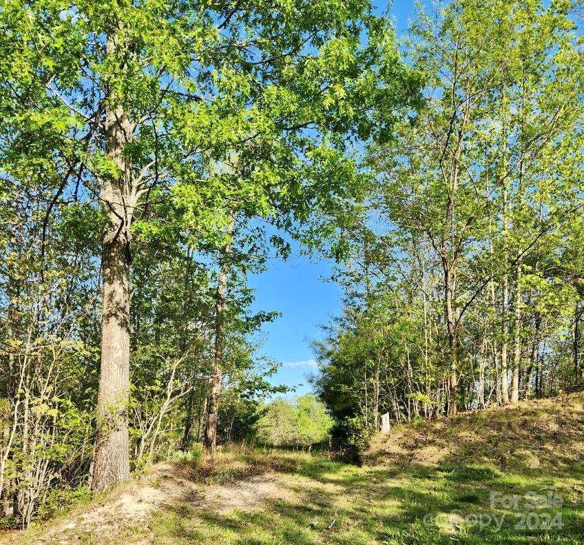 391 Red Fox Trail Marshall NC 28753