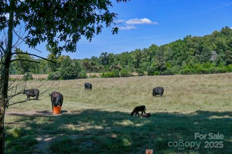 3539 Highway 97 Highway Sharon SC 29742