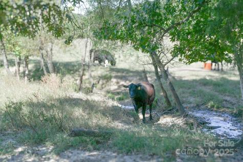 3539 Highway 97 Highway Sharon SC 29742