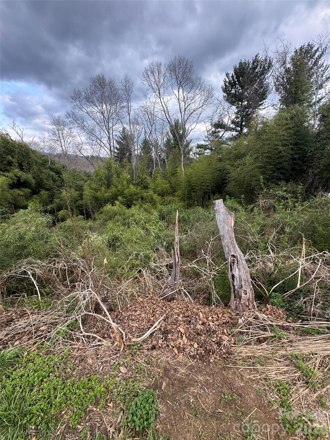 38 Belleair Road Asheville NC 28806
