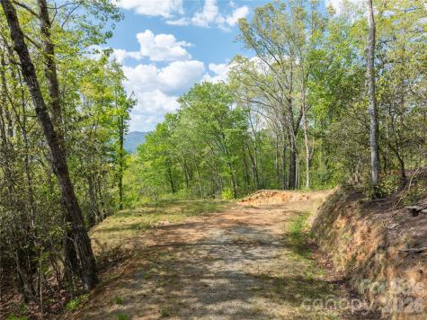 Lot 1 Breedlove Road Bryson City NC 28713