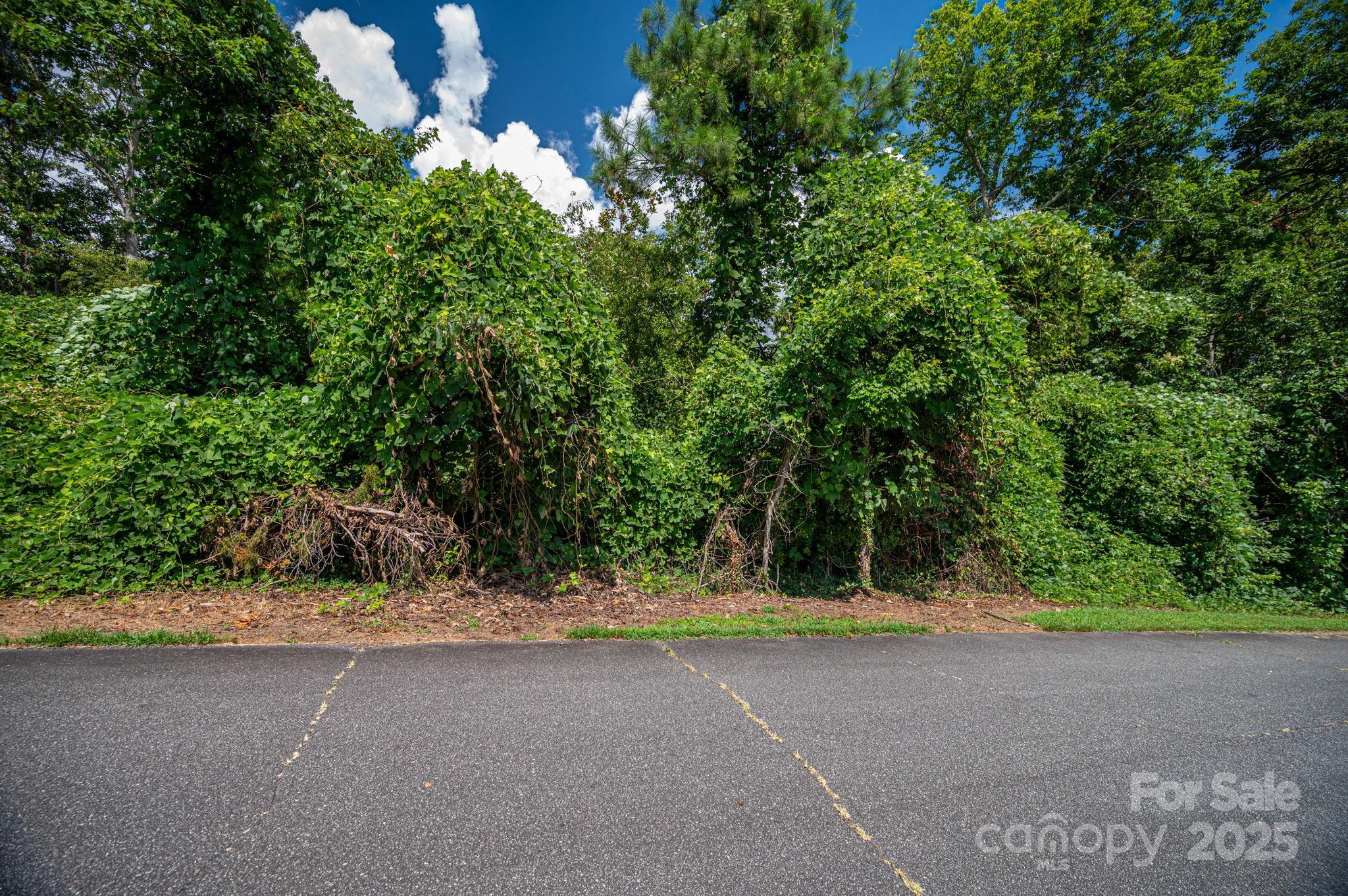 Lot 25 Line Drive Forest City NC 28043