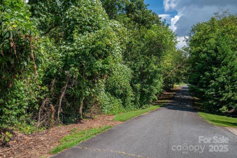 Lot 25 Line Drive Forest City NC 28043