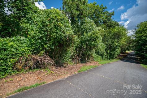 Lot 25 Line Drive Forest City NC 28043