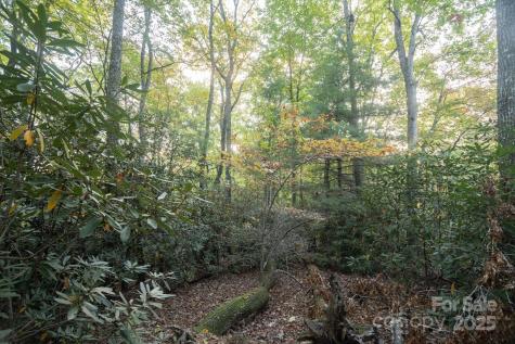 Tbd Pine Mountain Trail Brevard NC 28712
