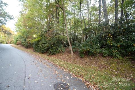 Tbd Pine Mountain Trail Brevard NC 28712