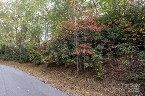 Tbd Pine Mountain Trail Brevard NC 28712
