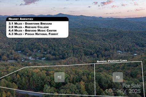 Tbd Pine Mountain Trail Brevard NC 28712